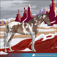 Horse Color:White Spotted Silver Black Tobiano 