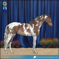 Horse Color:White Spotted Silver Black Tobiano