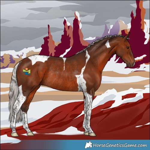 Horse Color:Silver Brown Tobiano Rabicano