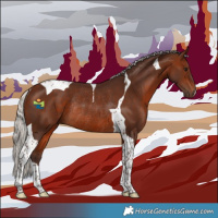 Horse Color:Silver Brown Tobiano Rabicano 