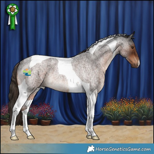 Horse Color:Liver Red Roan Tobiano Rabicano 