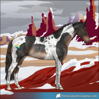 Horse Color:Liver Chestnut Tobiano Rabicano 