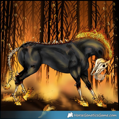 Horse Color:Void Black Tobiano Rabicano 