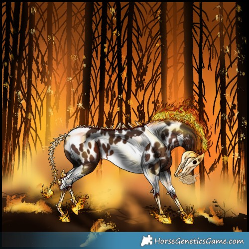 Horse Color:Liver Chestnut Splash Tobiano Appaloosa 