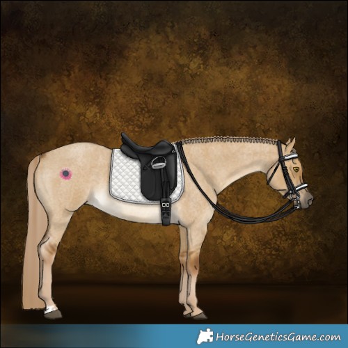 Horse Color:Chocolate Palomino Roan Dun