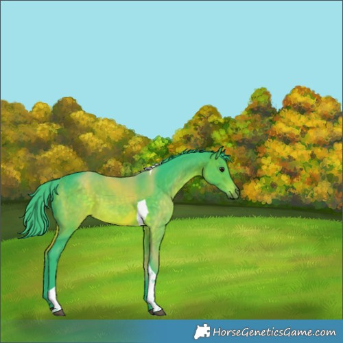 Horse Color:Watercolor Brown Tobiano Rabicano 