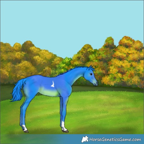 Horse Color:Watercolor Black Tobiano Rabicano 