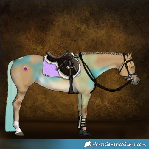 Horse Color:Chocolate Palomino Dun Tobiano Rabicano 