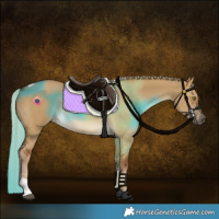 Horse Color:Chocolate Palomino Dun Tobiano Rabicano 