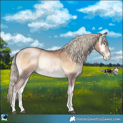 Horse Color:Chocolate Palomino Pearl Onyx Mushroom
