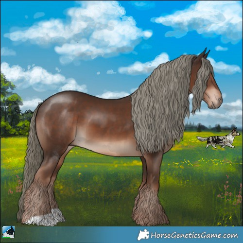 Horse Color:Liver Chestnut Mushroom 