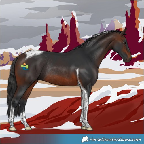 Horse Color:Brown Tobiano Rabicano 