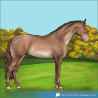 Horse Color:Brown Pearl