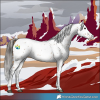 Horse Color:White Spotted Bay 