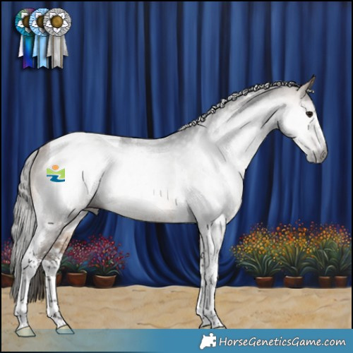 Horse Color:Gray Buckskin Sabino Tobiano Rabicano 