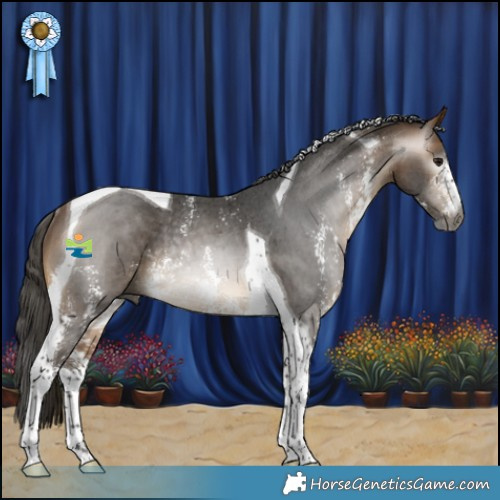 Horse Color:Gray Buckskin Sabino Tobiano Rabicano