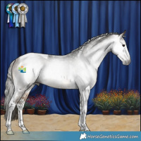 Horse Color:Gray Buckskin Sabino Tobiano Rabicano 