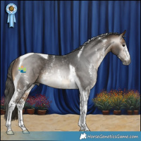 Horse Color:Gray Buckskin Sabino Tobiano Rabicano 