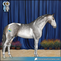 Horse Color:Gray Buckskin Sabino Tobiano Rabicano 