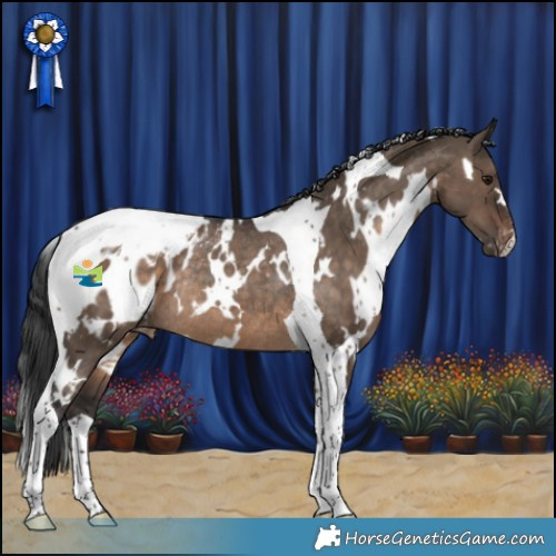 Horse Color:White Spotted Brown Dun Tobiano Appaloosa Rabicano 