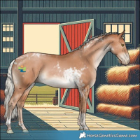 Horse Color:Silver Brown Pearl Tobiano 