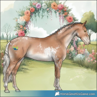 Horse Color:Silver Brown Pearl Tobiano