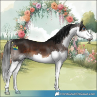 Horse Color:Gray Brown Splash 