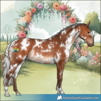 Horse Color:White Spotted Silver Brown Rabicano 