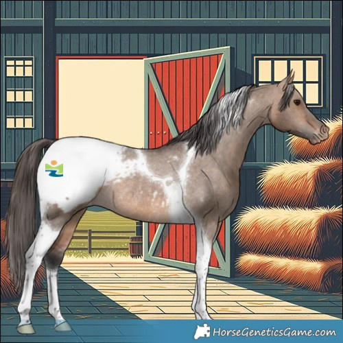 Horse Color:Bay Dun Tobiano Appaloosa Rabicano 