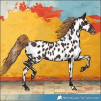 Horse Color:Liver Chestnut Near Leopard 