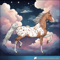 Horse Color:White Spotted Silver Bay Splash Near Leopard 