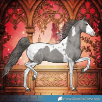 Horse Color:Grullo Splash Tobiano Varnish