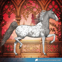 Horse Color:Grullo Splash Tobiano Blanket 