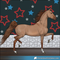 Horse Color:Red Dun Tobiano 