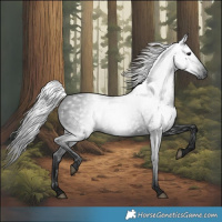 Horse Color:Gray Black 