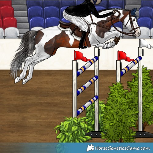 Horse Color:Bay Splash Tobiano 