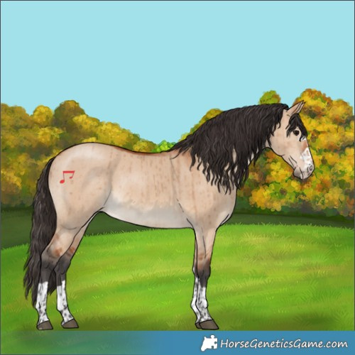 Horse Color:Bay Dun Rabicano Brindle