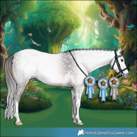 Horse Color:Gray Bay Tobiano 