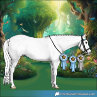 Horse Color:Gray Bay Tobiano