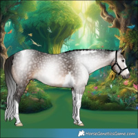 Horse Color:Gray Bay Tobiano