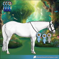 Horse Color:Gray Bay Tobiano