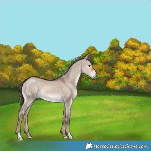 Horse Color:Liver Red Dun Mushroom 