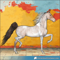 Horse Color:Sable Champagne Roan Tobiano Varnish Rabicano 