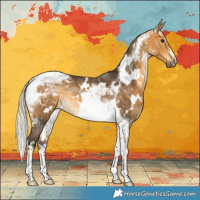 Horse Color:White Spotted Silver Buckskin Tobiano 