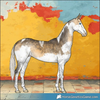 Horse Color:Silver Buckskin Splash Tobiano Varnish 