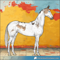 Horse Color:Gray White Spotted Silver Buckskin Splash Tobiano 