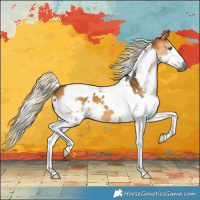 Horse Color:Gray White Spotted Silver Buckskin Splash Tobiano Appaloosa 
