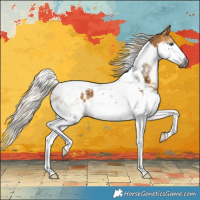 Horse Color:Gray White Spotted Silver Buckskin Splash Tobiano Appaloosa 