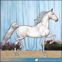 Horse Color:Gray White Spotted Silver Buckskin Dun Tobiano Varnish 