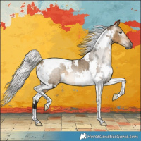 Horse Color:Gray White Spotted Silver Buckskin Dun Tobiano Appaloosa 